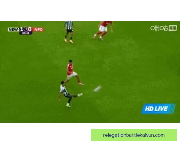 足球官方网站助力球迷获取最新赛季动态与赛事资讯